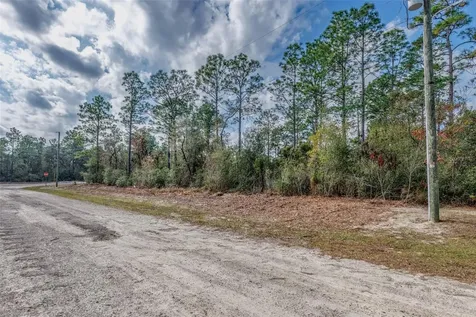 7082 N Treehaven Terrace Citrus Springs FL 34433