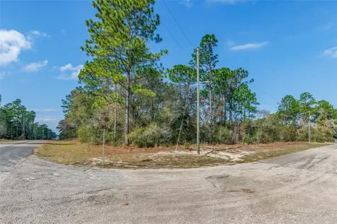 7082 N Treehaven Terrace Citrus Springs FL 34433