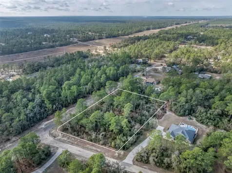 7082 N Treehaven Terrace Citrus Springs FL 34433