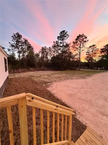 7251 NE 105th Avenue Bronson FL 32621
