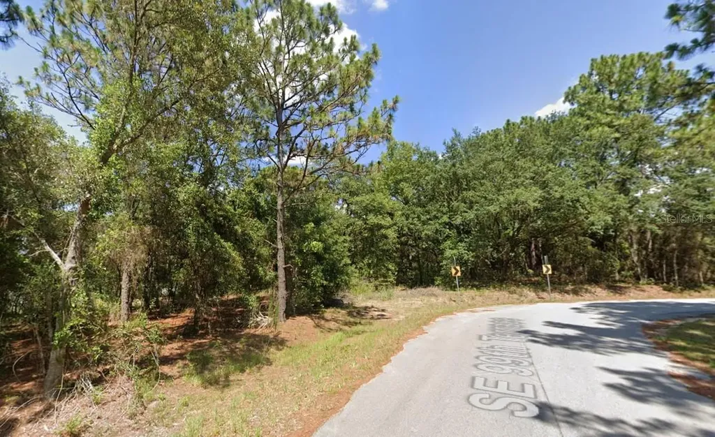 0 SE 121 Place Belleview FL 34420
