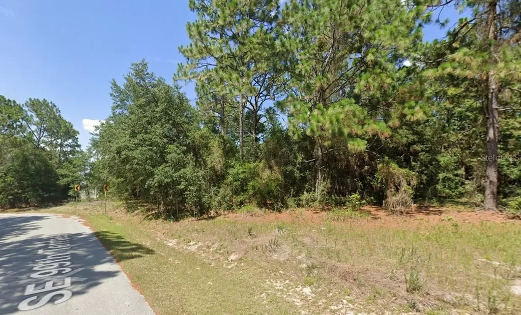 0 SE 121 Place Belleview FL 34420