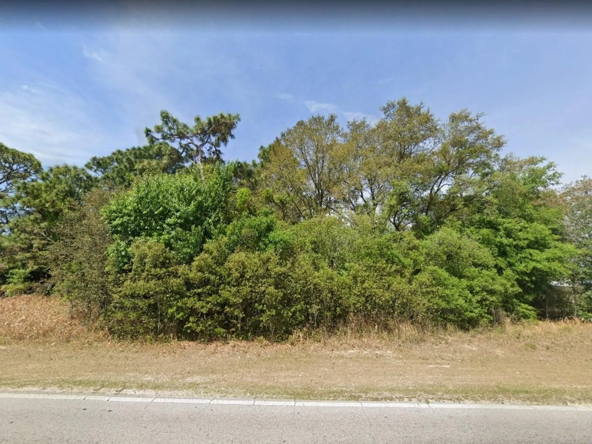 0 SE 121 Place Belleview FL 34420