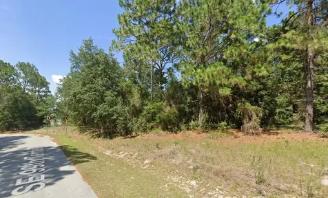 0 SE 121 Place Belleview FL 34420