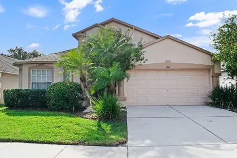 3843 Briley Loop Land O Lakes FL 34638