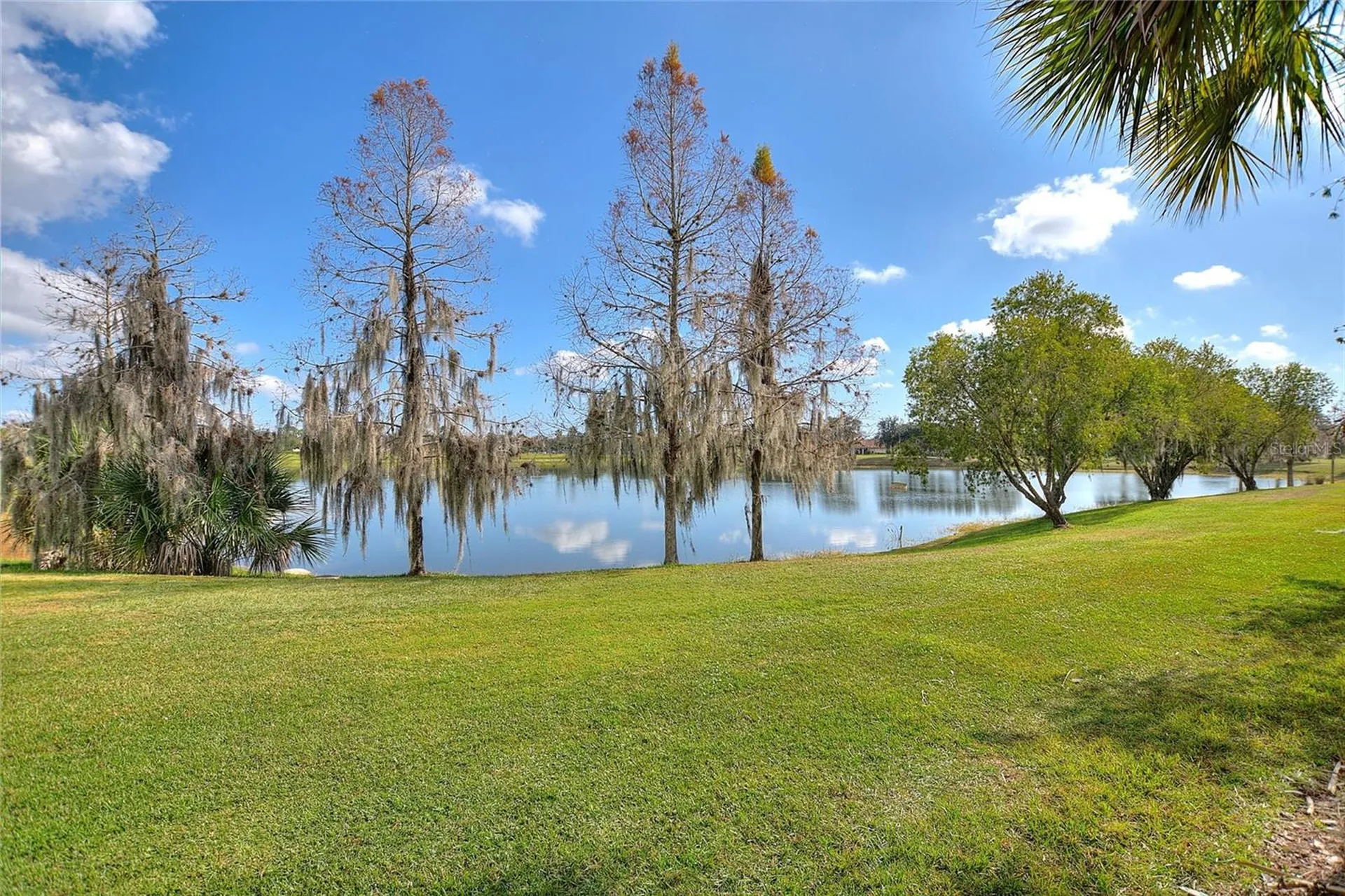 2316 Palm Tree Drive Kissimmee FL 34759