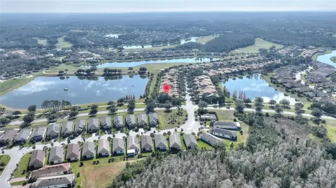 2316 Palm Tree Drive Kissimmee FL 34759