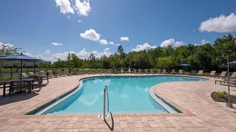 3925 Fraccareta Way Wesley Chapel FL 33543