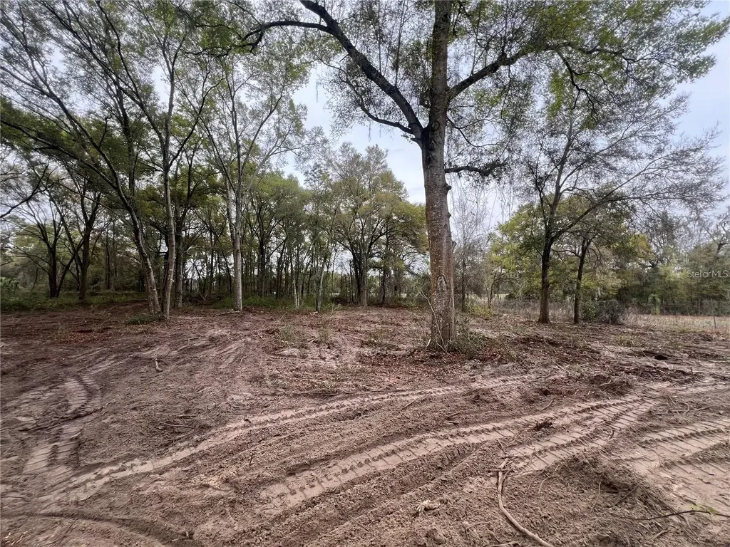 15574 Rockingham Lane Spring Hill FL 34610
