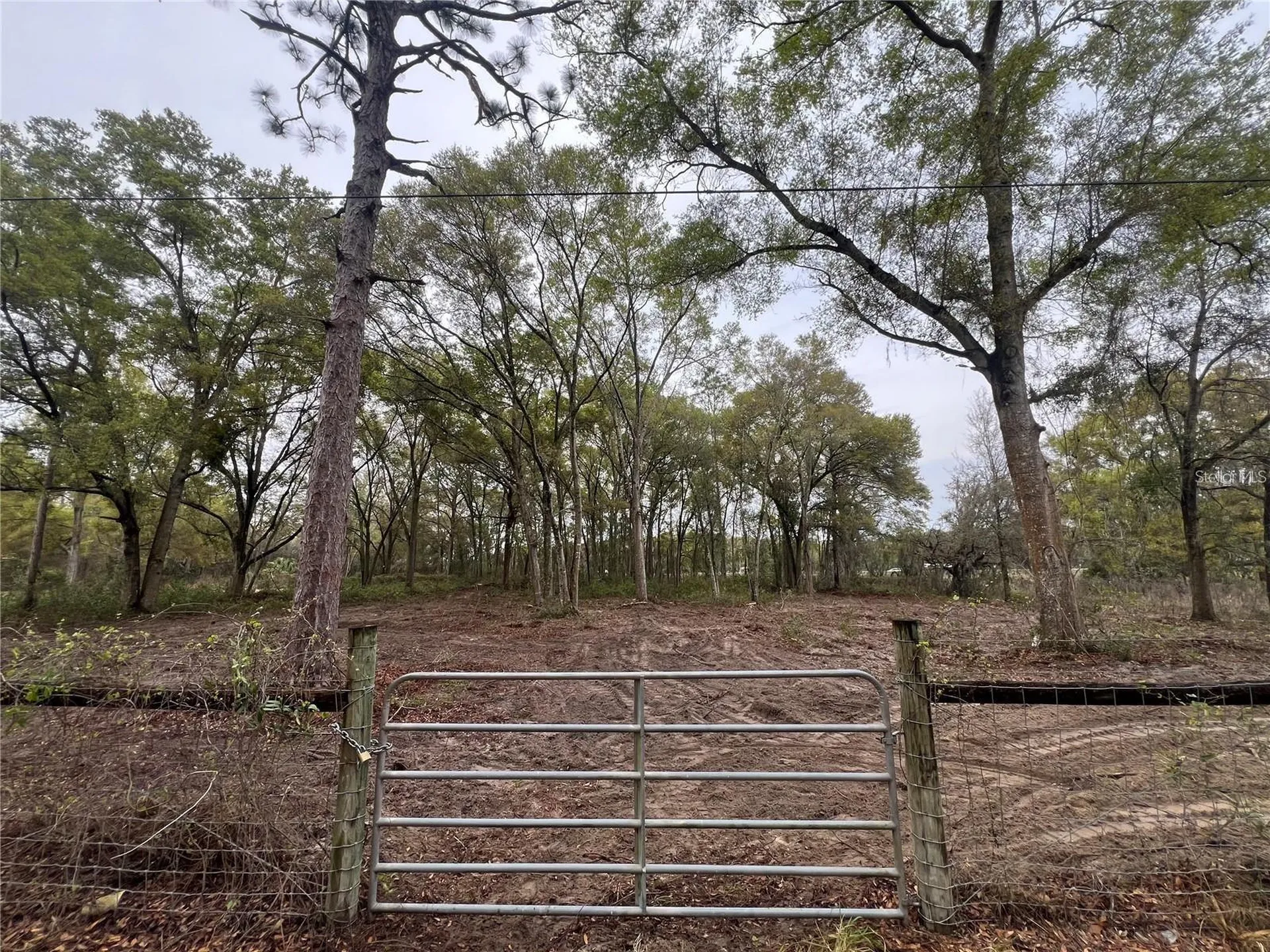 15574 Rockingham Lane Spring Hill FL 34610