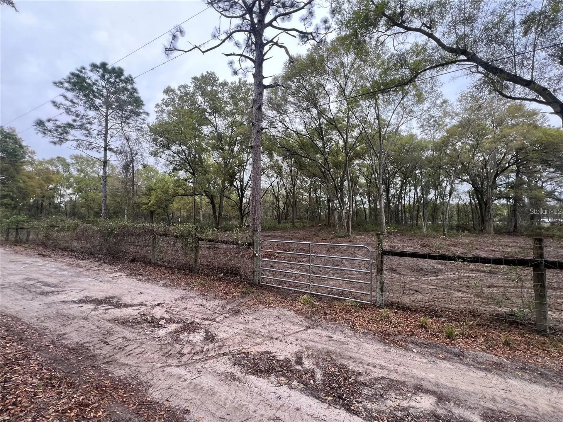 15574 Rockingham Lane Spring Hill FL 34610