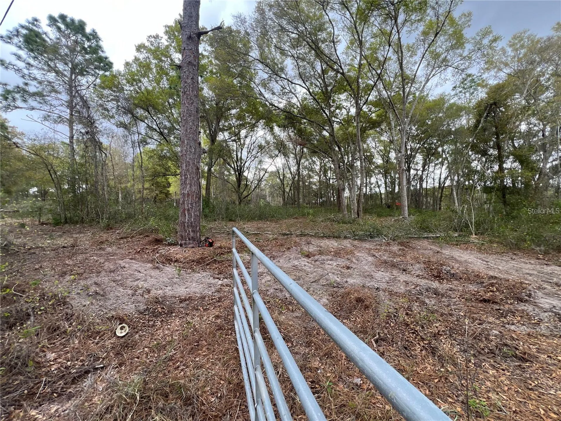 15574 Rockingham Lane Spring Hill FL 34610