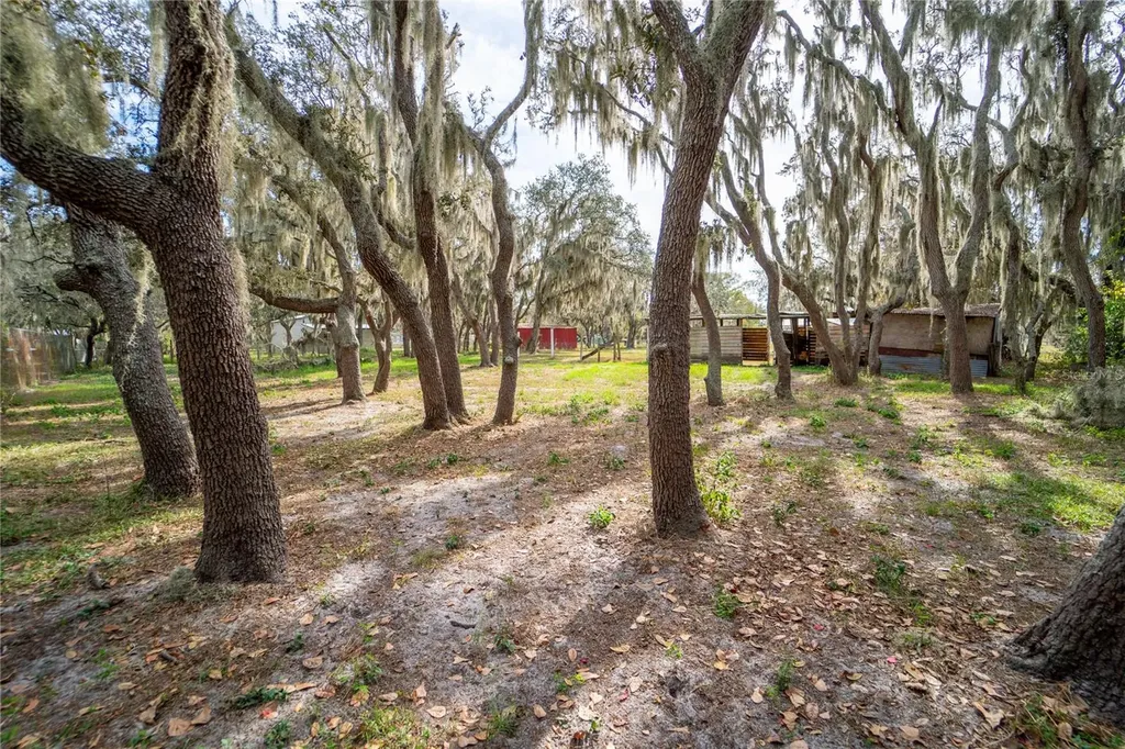 12510 Tocci Lane Riverview FL 33579