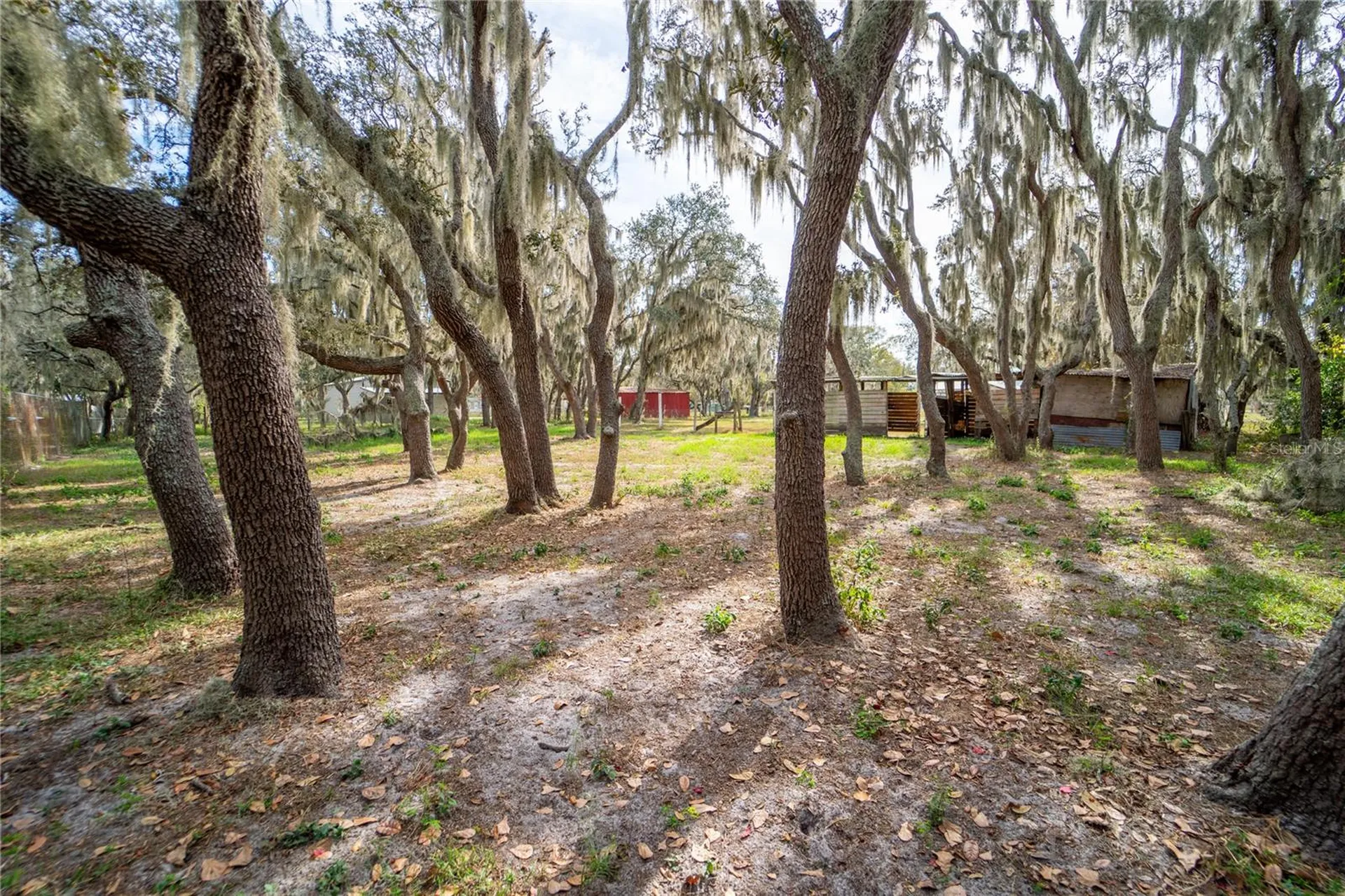 12510 Tocci Lane Riverview FL 33579