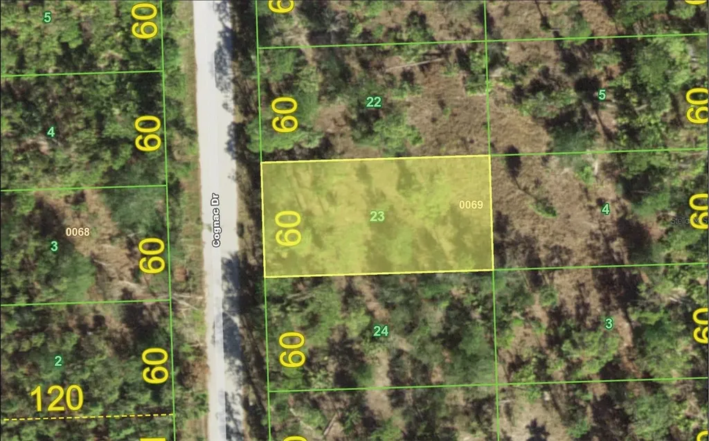12332 Cognac Drive Punta Gorda FL 33955