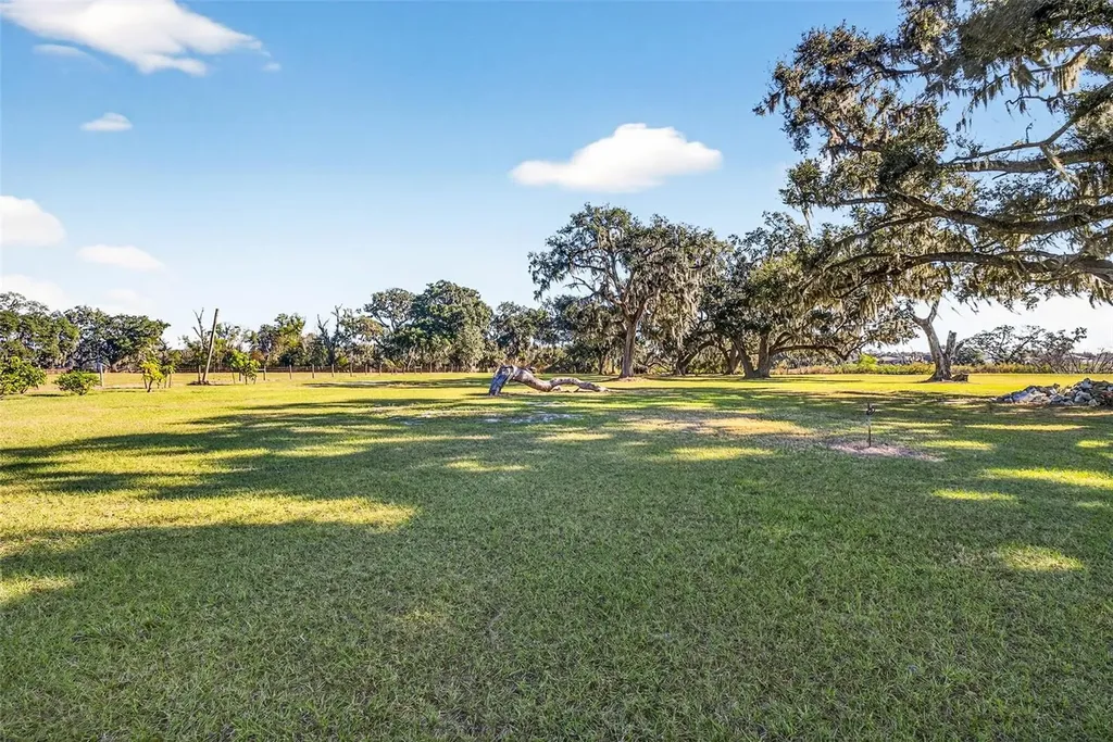 6750 Sutton Oaks Lane Zephyrhills FL 33541