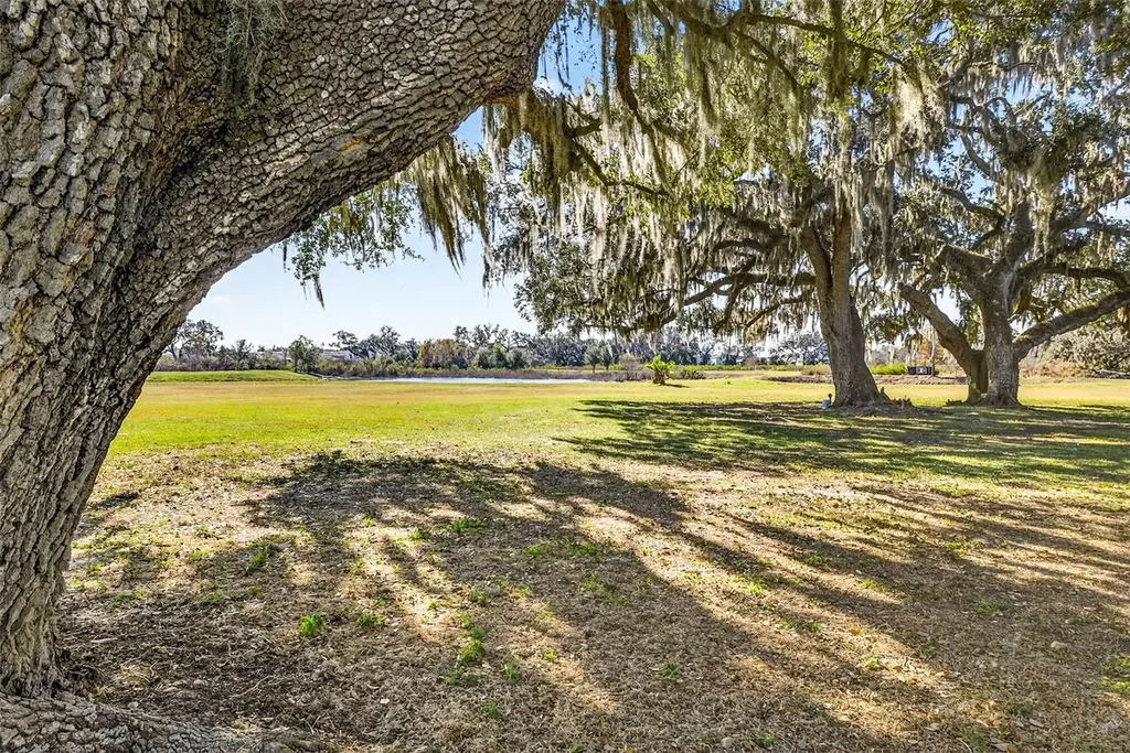 6750 Sutton Oaks Lane Zephyrhills FL 33541