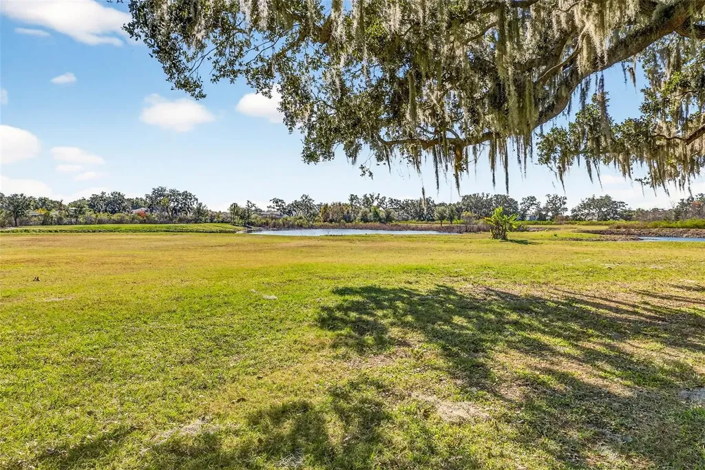 6750 Sutton Oaks Lane Zephyrhills FL 33541