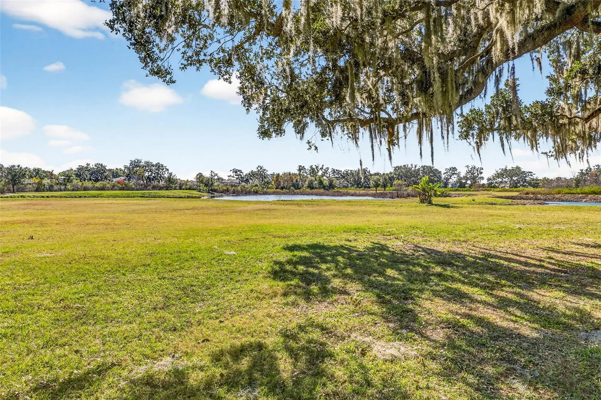 6750 Sutton Oaks Lane Zephyrhills FL 33541