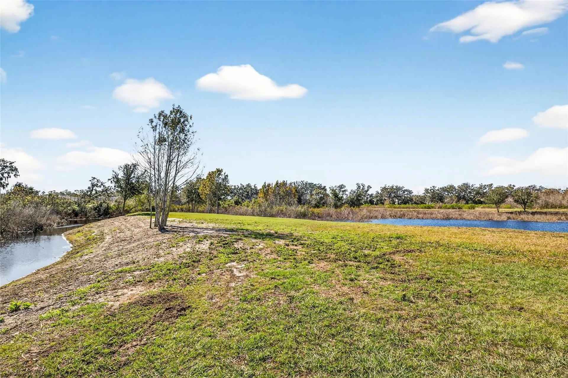 6750 Sutton Oaks Lane Zephyrhills FL 33541