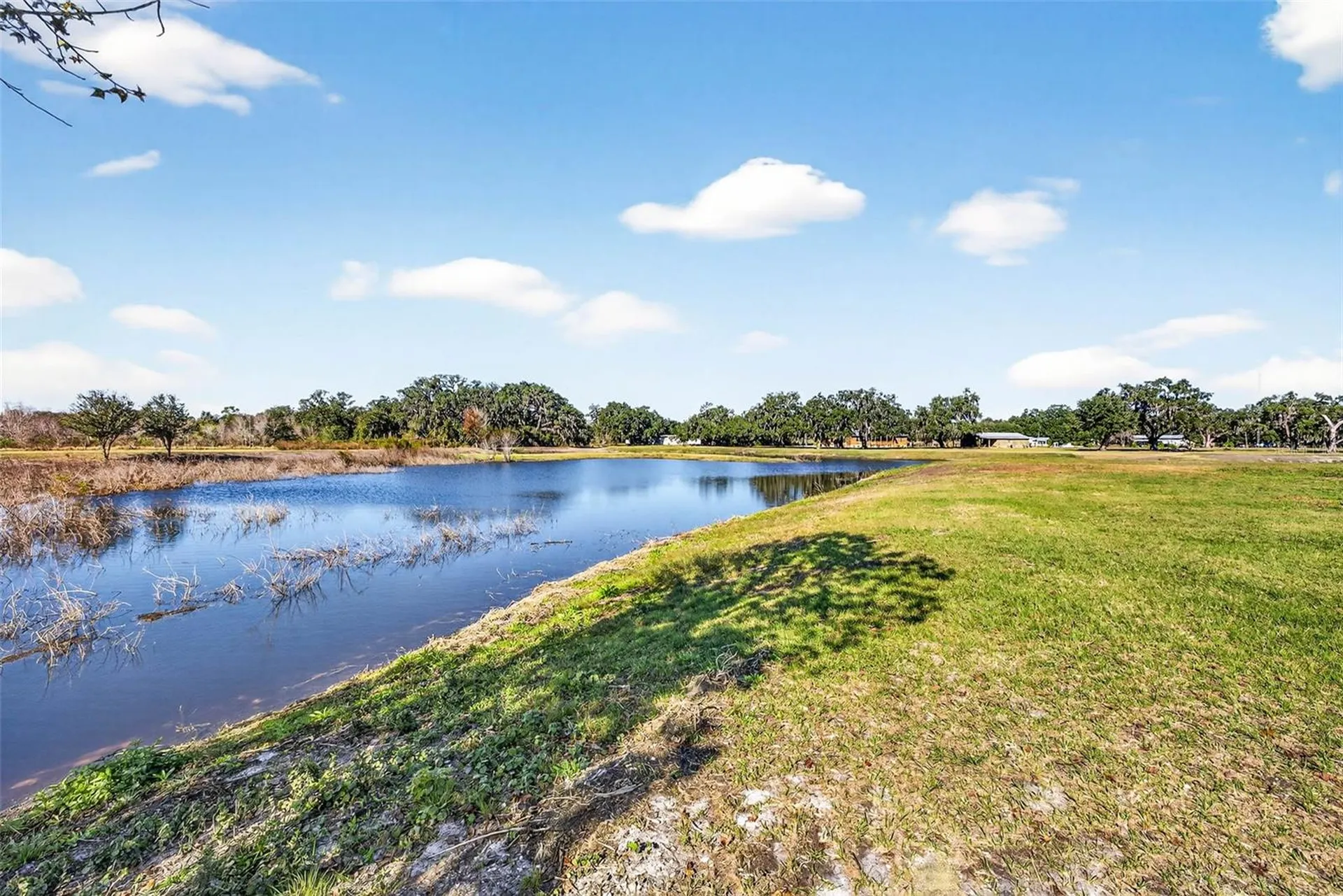 6750 Sutton Oaks Lane Zephyrhills FL 33541