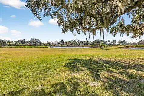 6750 Sutton Oaks Lane Zephyrhills FL 33541