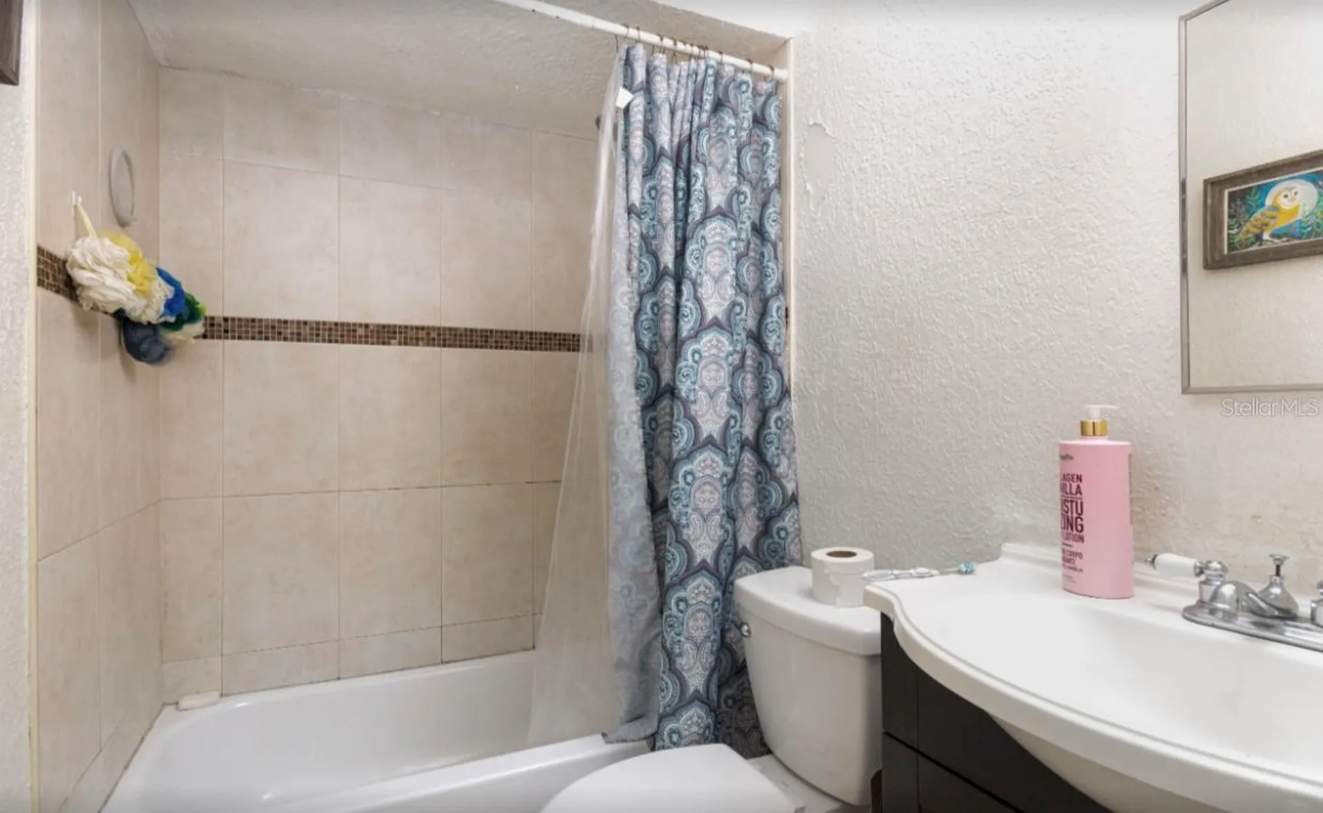 3818 Laso Way Orlando FL 32822