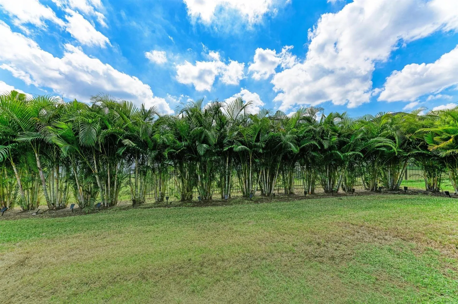 12627 Wheatgrass Court Parrish FL 34219