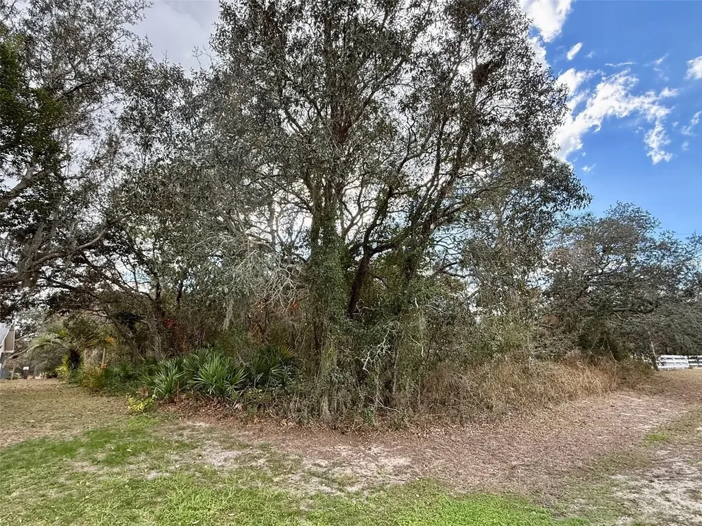 0 Centralia Road Weeki Wachee FL 34614
