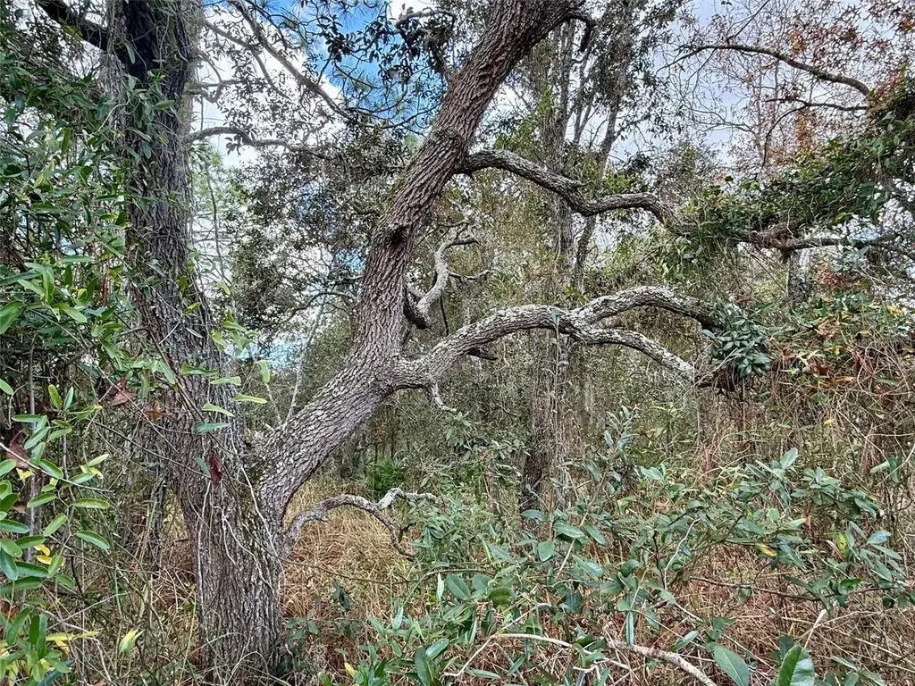 0 Centralia Road Weeki Wachee FL 34614