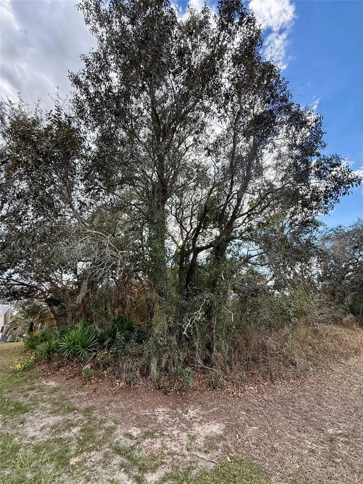 0 Centralia Road Weeki Wachee FL 34614