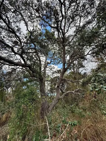 0 Centralia Road Weeki Wachee FL 34614