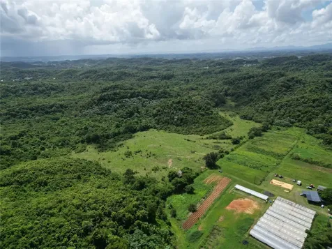 Pr 682 Km 6.5 Int Garrochales Ward Arecibo PR 00612