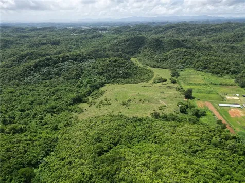 Pr 682 Km 6.5 Int Garrochales Ward Arecibo PR 00612