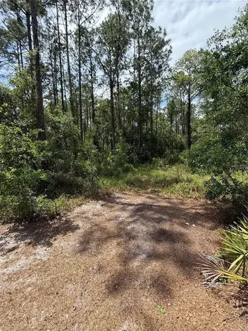 Tbd NE 156th Lane Fort Mc Coy FL 32134