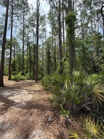 Tbd NE 156th Lane Fort Mc Coy FL 32134