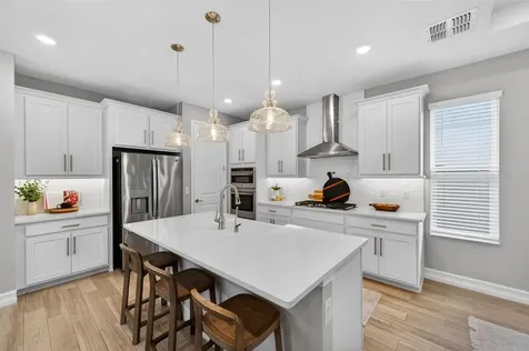 4711 San Martino Drive Wesley Chapel FL 33543