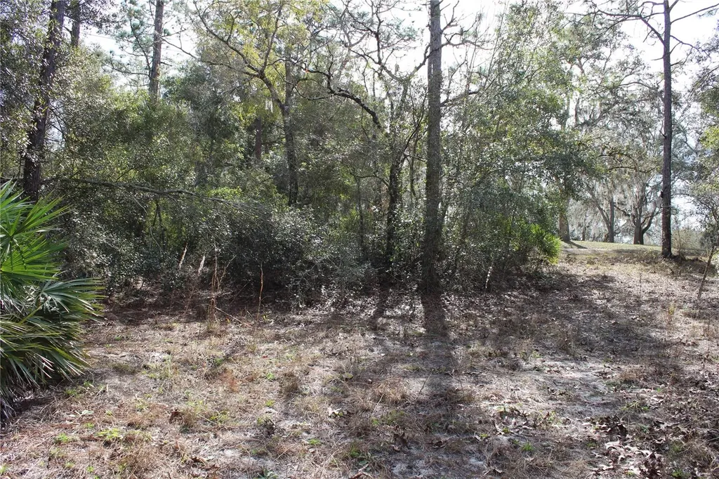 34273 Belt Drive Dade City FL 33523