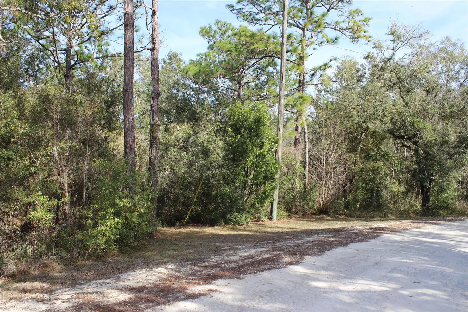 34273 Belt Drive Dade City FL 33523
