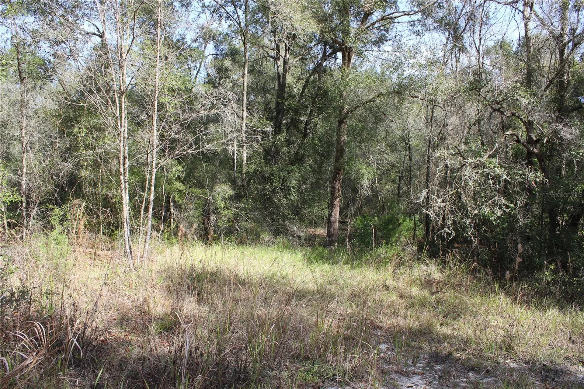 34273 Belt Drive Dade City FL 33523