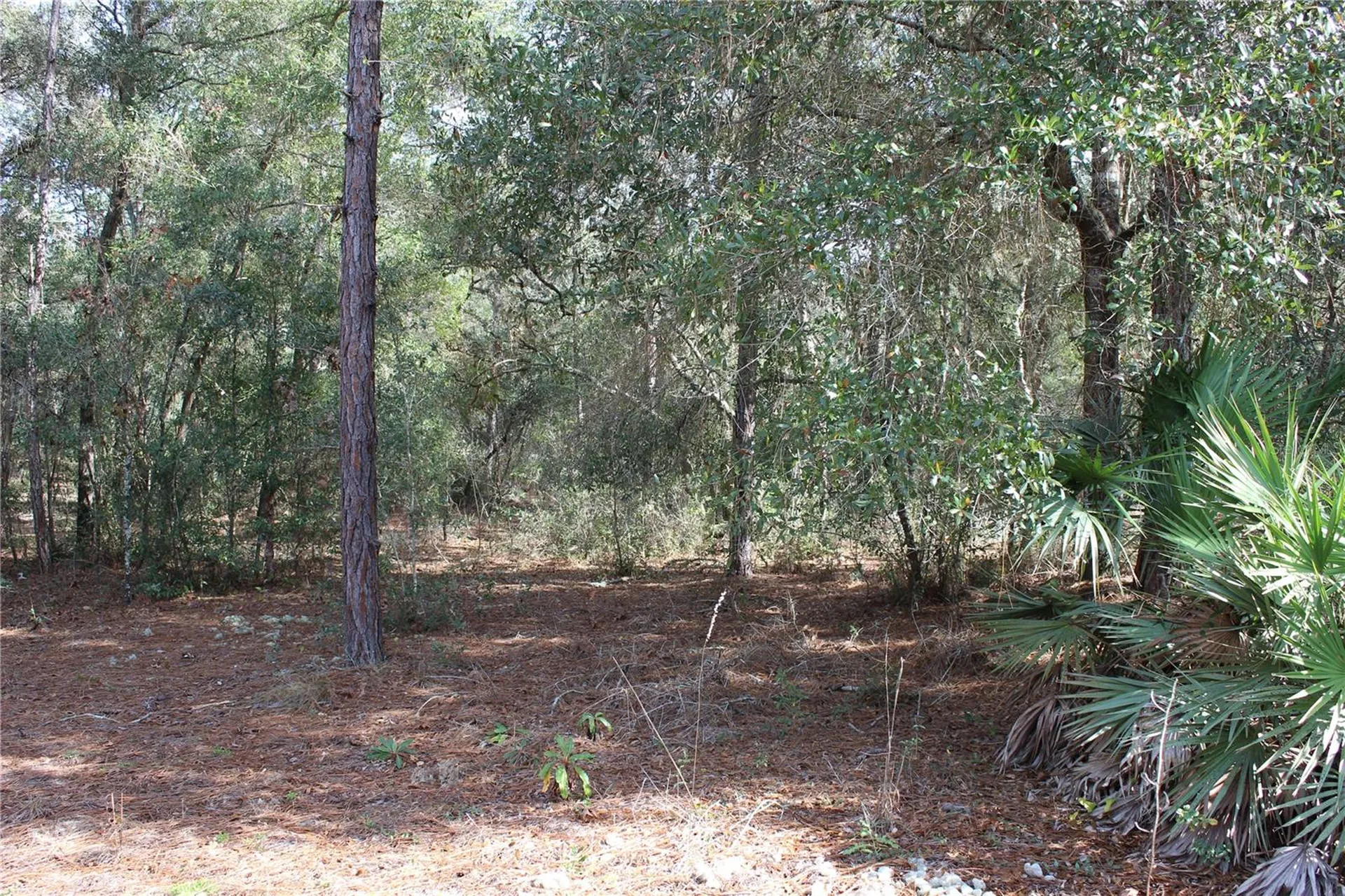 34273 Belt Drive Dade City FL 33523