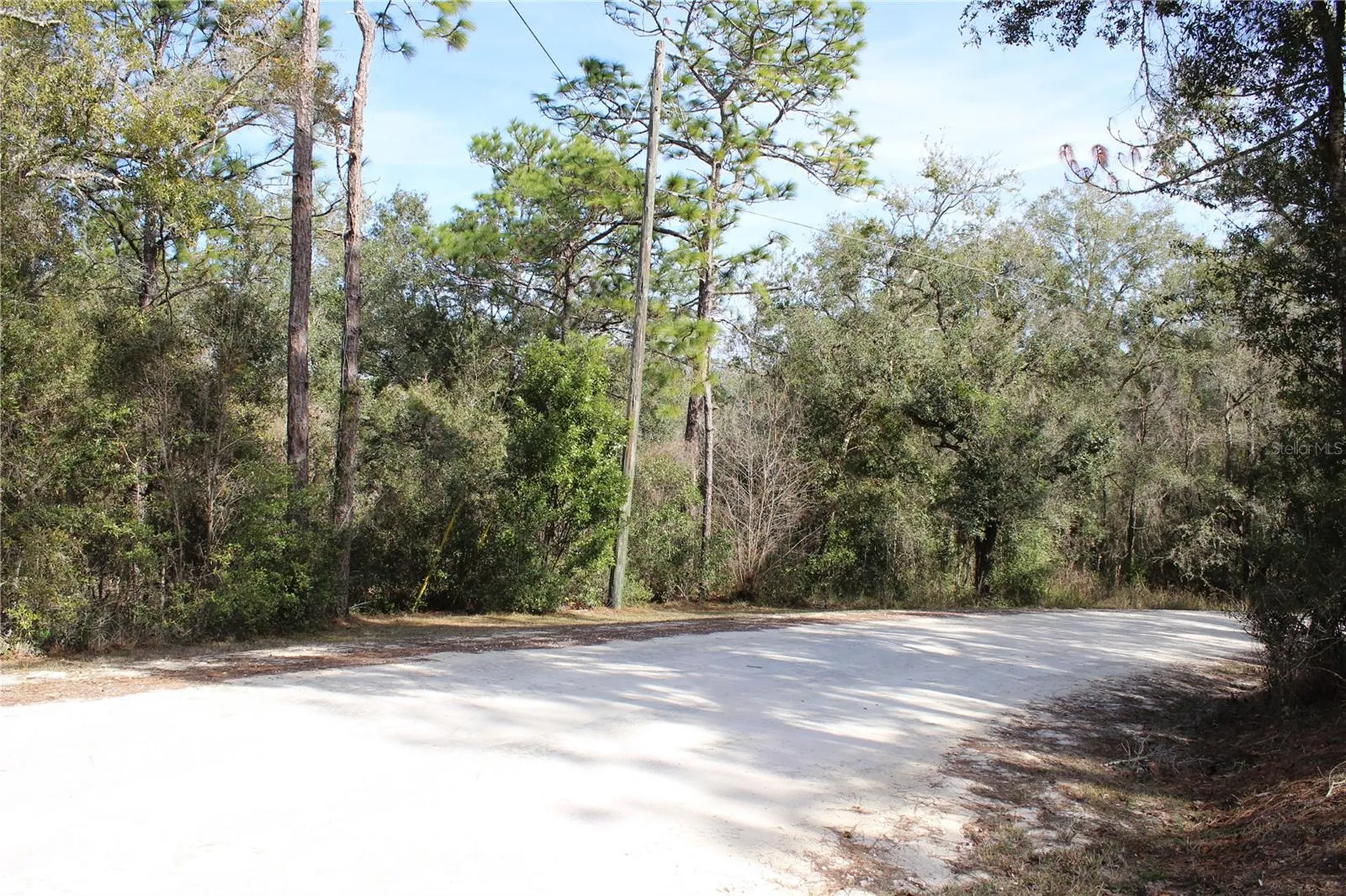 34273 Belt Drive Dade City FL 33523