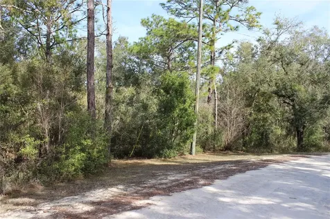 34273 Belt Drive Dade City FL 33523