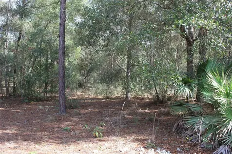 34273 Belt Drive Dade City FL 33523