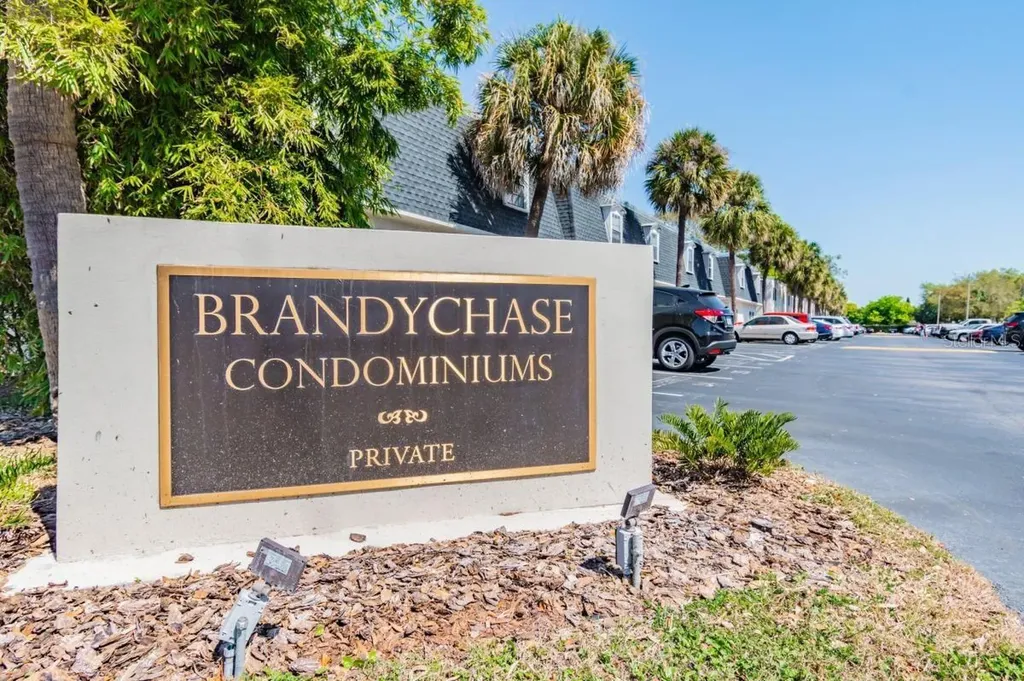 4325 Aegean Drive Tampa FL 33611