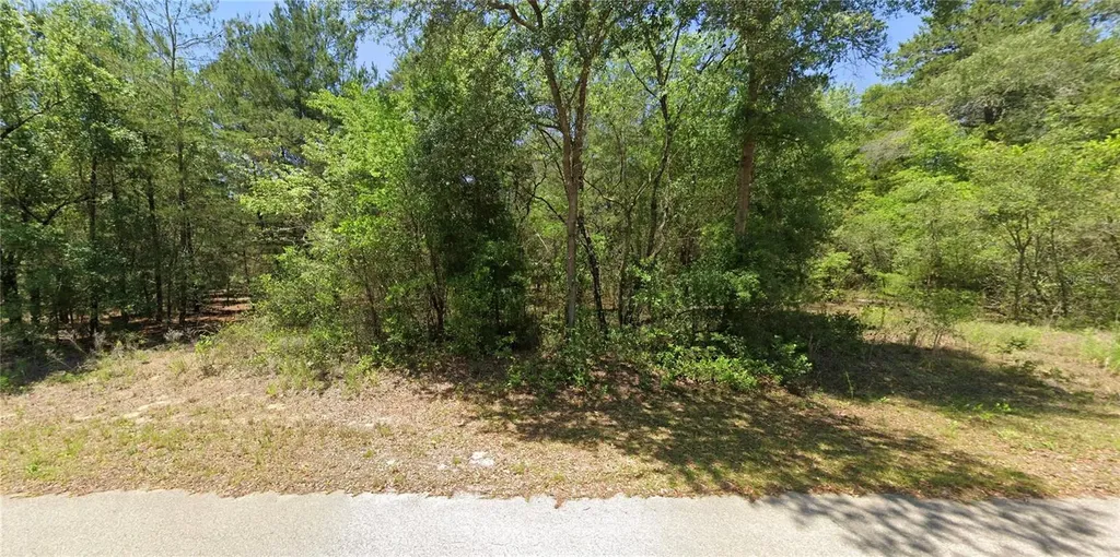 2104 SW Moines Court Dunnellon FL 34431
