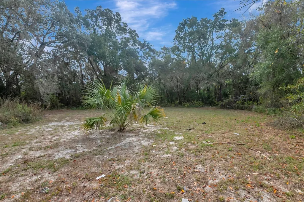 6560 W Avocado Street Crystal River FL 34429