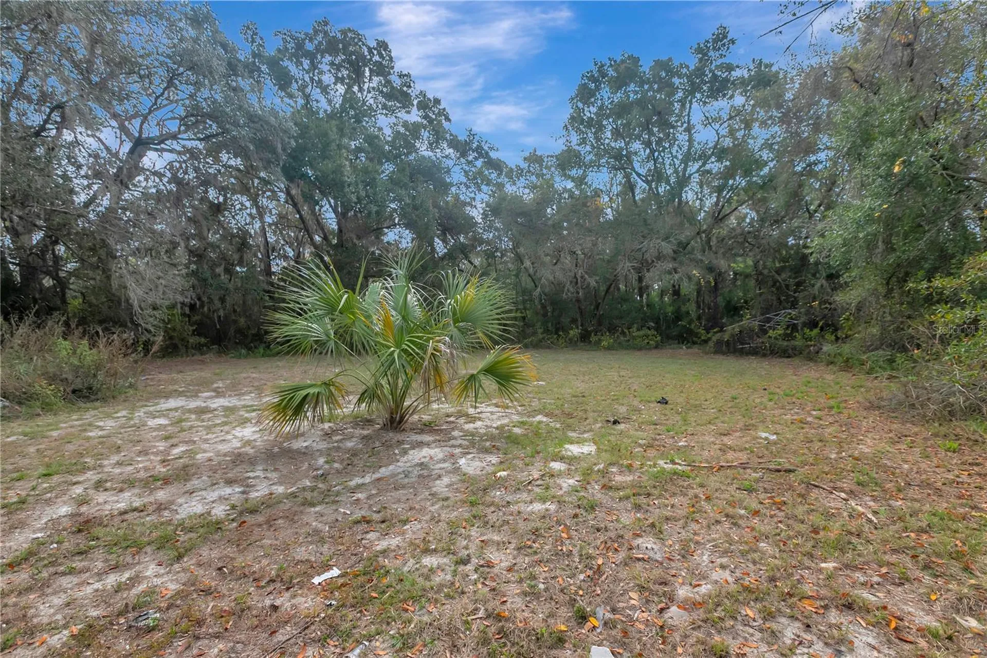 6560 W Avocado Street Crystal River FL 34429