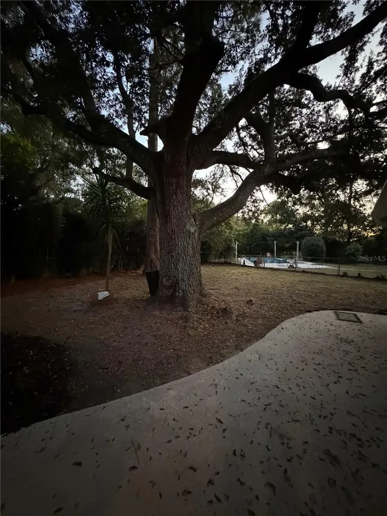 509 Baywood Court Altamonte Springs FL 32714