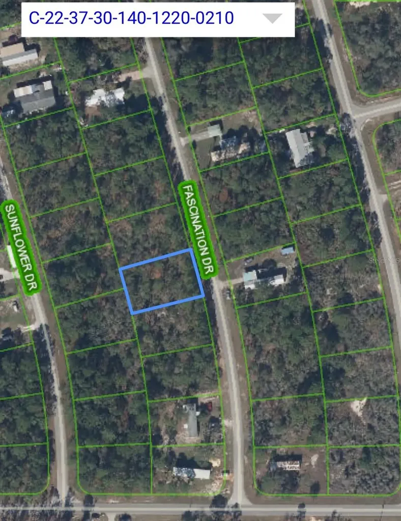 108 Fascination Drive Lake Placid FL 33852